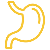 <strong>هضم وحركة معوية صحية</strong>